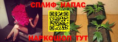 а пвп мука Свободный