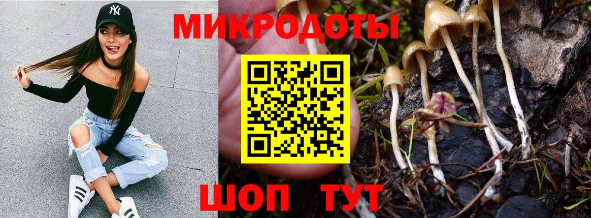 что такое наркотик  Галлюциногенные грибы Cubensis  Вход с VPN  Санкт-Петербург  Псилоцибиновые грибы Psilocybe 